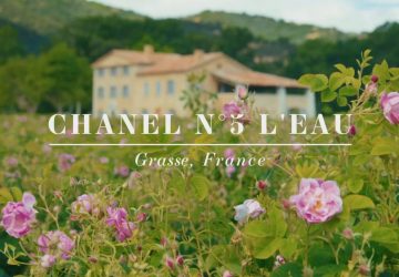 flori Chanel