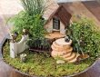 grădini în miniatură